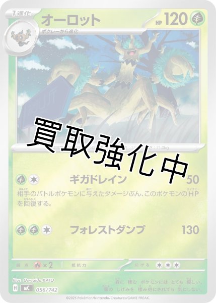 画像1: オーロット {056/742} [MC] (1)