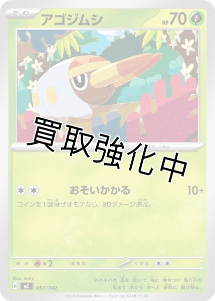 画像1: アゴジムシ {057/742} [MC] (1)