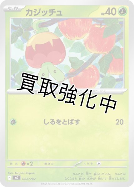 画像1: カジッチュ {062/742} [MC] (1)