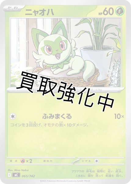 画像1: ニャオハ {065/742} [MC] (1)