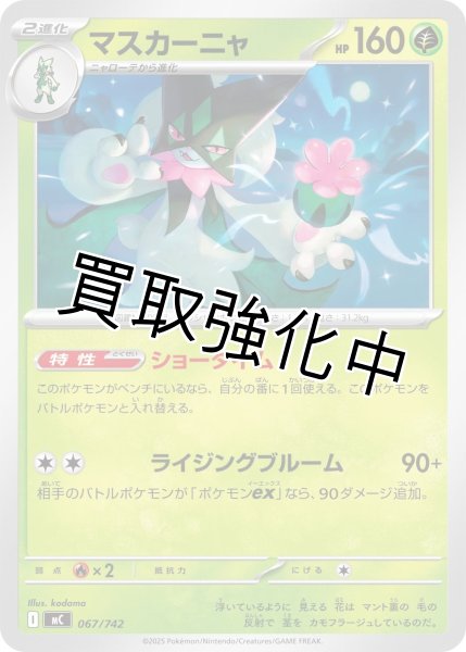 画像1: マスカーニャ {067/742} [MC] (1)