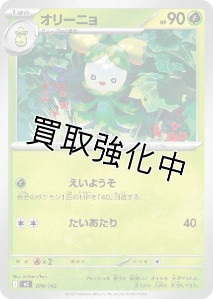 画像1: オリーニョ {070/742} [MC] (1)