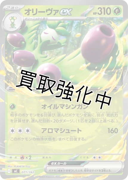 画像1: オリーヴァex {071/742} [MC] (1)