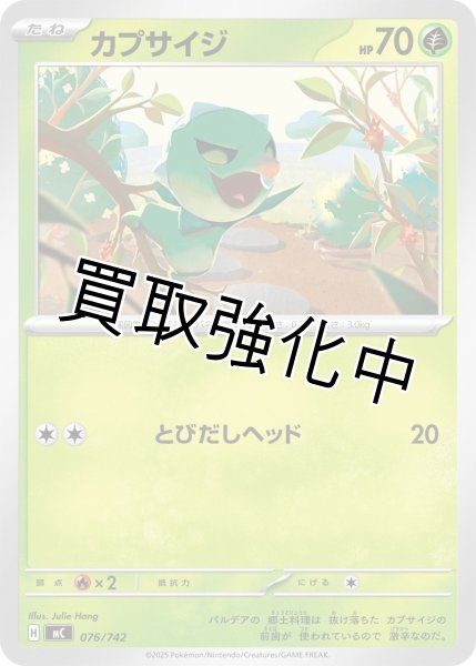 画像1: カプサイジ {076/742} [MC] (1)