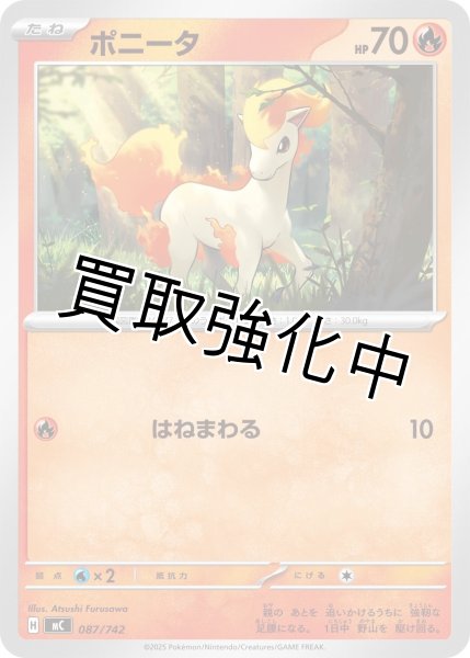 画像1: ポニータ {087/742} [MC] (1)