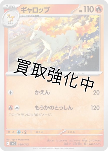 画像1: ギャロップ {088/742} [MC] (1)