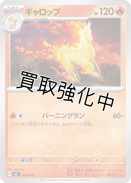 画像1: ギャロップ {089/742} [MC] (1)