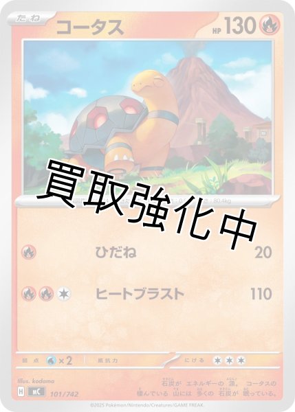 画像1: コータス {101/742} [MC] (1)