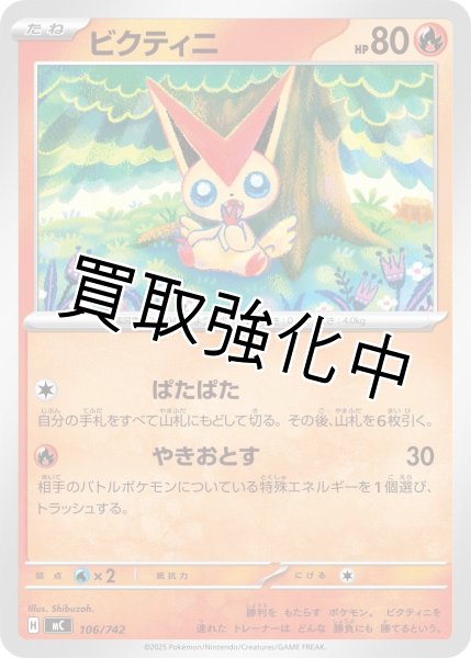 画像1: ビクティニ {106/742} [MC] (1)