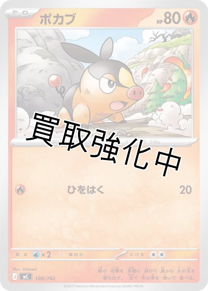 画像1: ポカブ {109/742} [MC] (1)