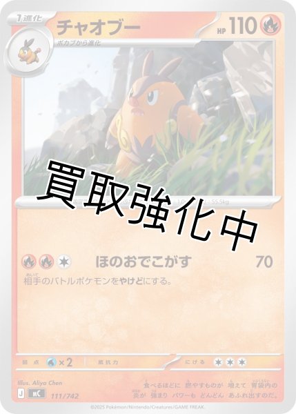 画像1: チャオブー {111/742} [MC] (1)