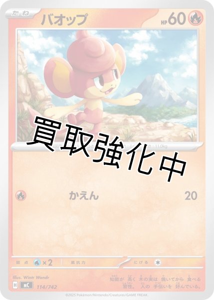 画像1: バオップ {114/742} [MC] (1)