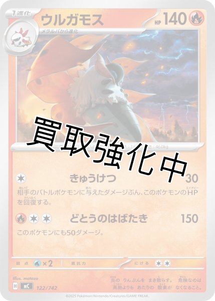 画像1: ウルガモス {122/742} [MC] (1)