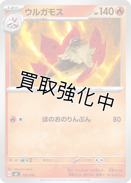 画像1: ウルガモス {123/742} [MC] (1)