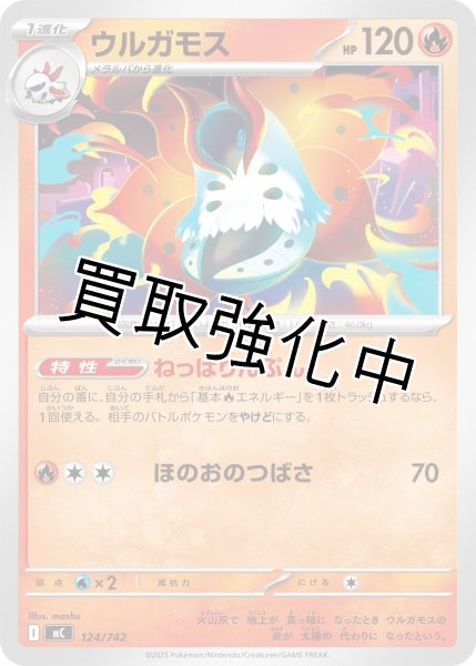 画像1: ウルガモス {124/742} [MC] (1)