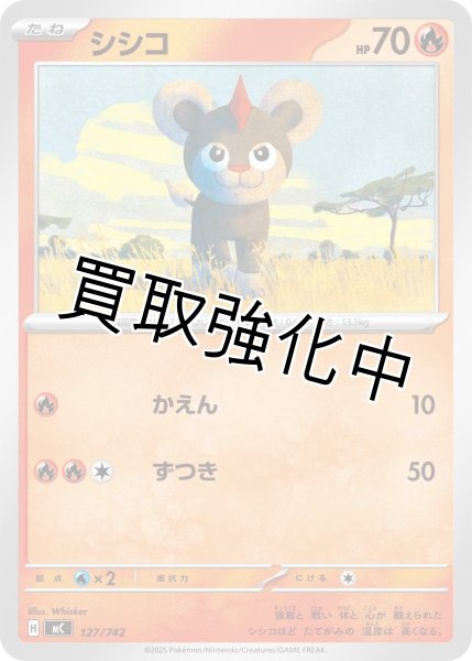 画像1: シシコ {127/742} [MC] (1)