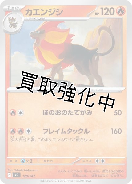 画像1: カエンジシ {128/742} [MC] (1)