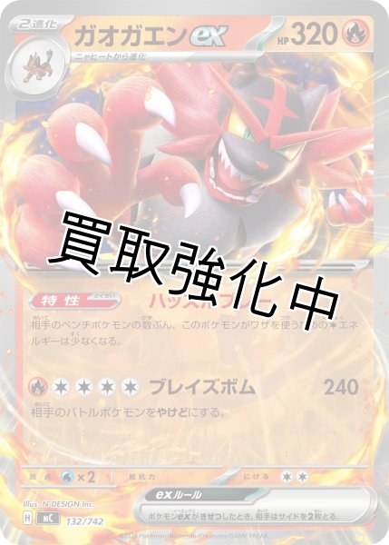 画像1: ガオガエンex {132/742} [MC] (1)