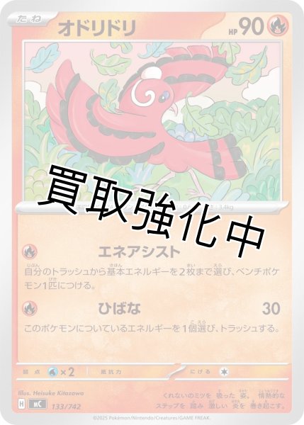 画像1: オドリドリ {133/742} [MC] (1)