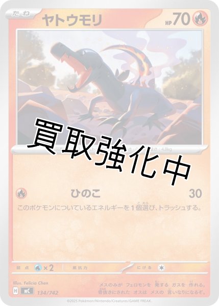 画像1: ヤトウモリ {134/742} [MC] (1)