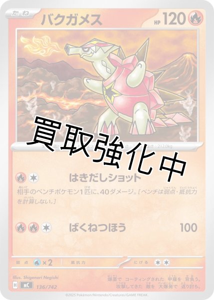 画像1: バクガメス {136/742} [MC] (1)