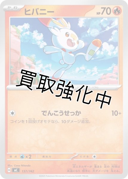 画像1: ヒバニー {137/742} [MC] (1)