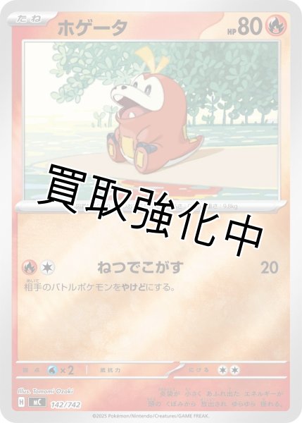 画像1: ホゲータ {142/742} [MC] (1)