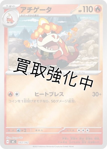 画像1: アチゲータ {143/742} [MC] (1)