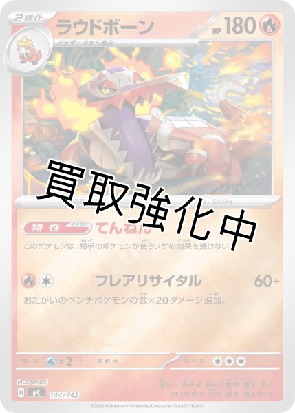 画像1: ラウドボーン {144/742} [MC] (1)