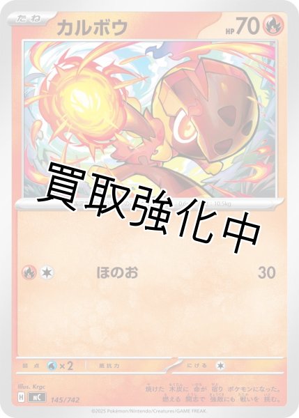 画像1: カルボウ {145/742} [MC] (1)