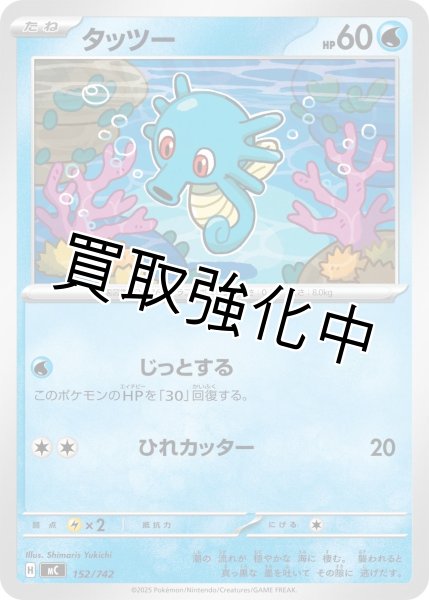 画像1: タッツー {152/742} [MC] (1)