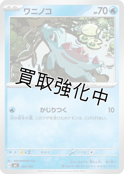 画像1: ワニノコ {164/742} [MC] (1)