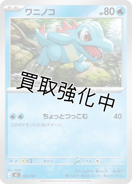 画像1: ワニノコ {165/742} [MC] (1)