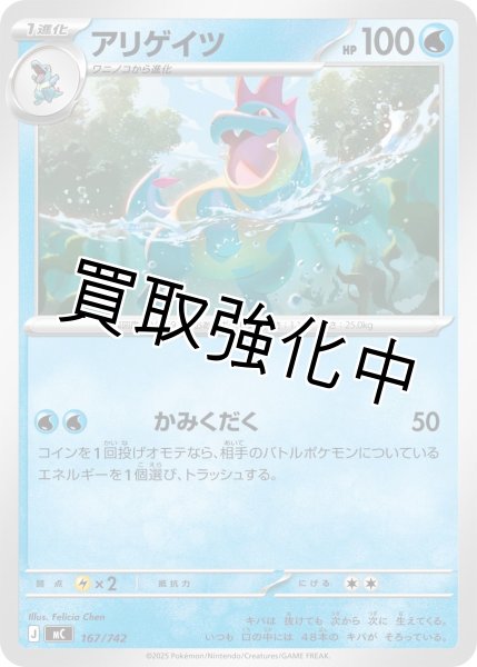 画像1: アリゲイツ {167/742} [MC] (1)