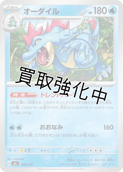 画像1: オーダイル {168/742} [MC] (1)