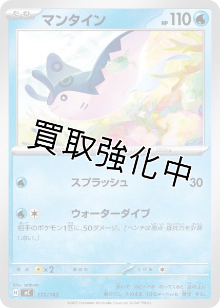 画像1: マンタイン {172/742} [MC] (1)