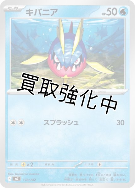 画像1: キバニア {178/742} [MC] (1)