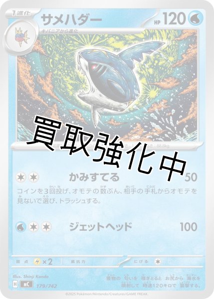 画像1: サメハダー {179/742} [MC] (1)