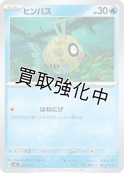 画像1: ヒンバス {184/742} [MC] (1)