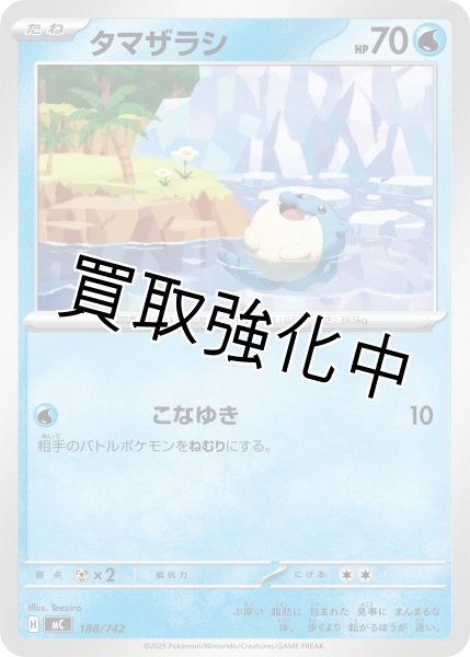 画像1: タマザラシ {188/742} [MC] (1)