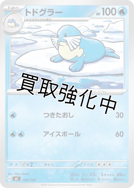 画像1: トドグラー {189/742} [MC] (1)