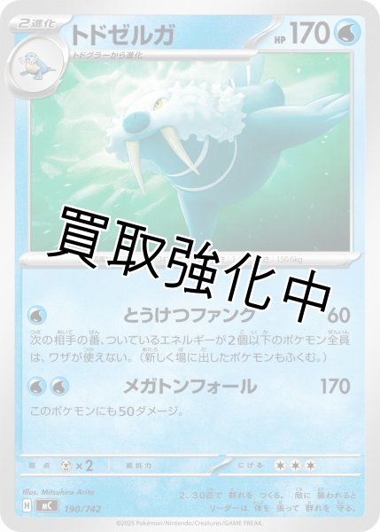 画像1: トドゼルガ {190/742} [MC] (1)