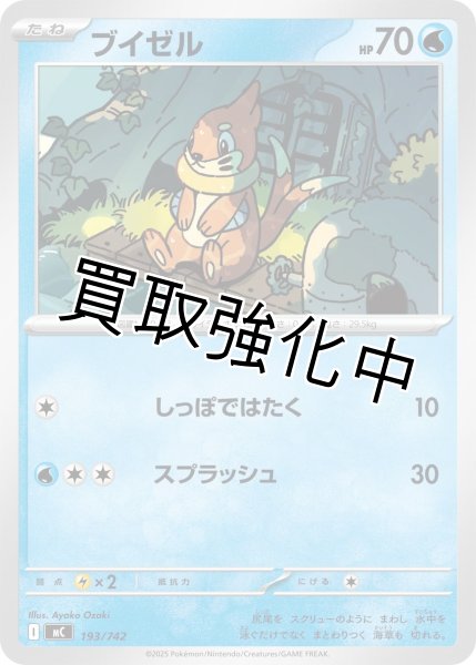 画像1: ブイゼル {193/742} [MC] (1)