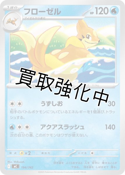 画像1: フローゼル {194/742} [MC] (1)