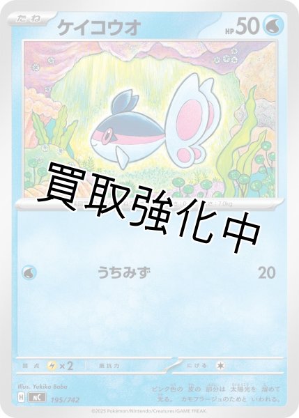 画像1: ケイコウオ {195/742} [MC] (1)