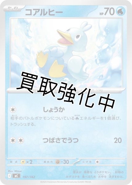 画像1: コアルヒー {197/742} [MC] (1)