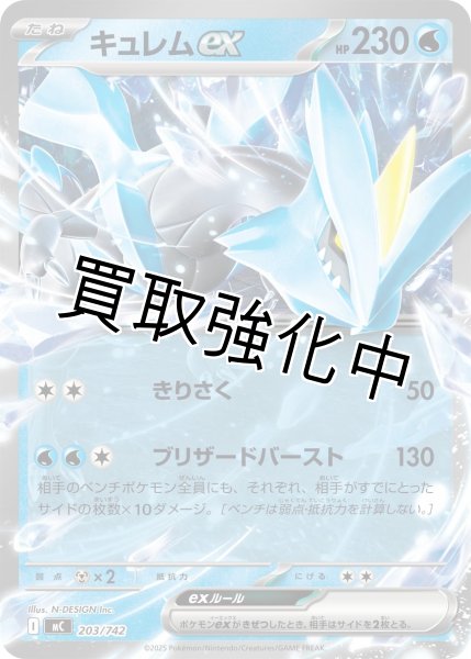 画像1: キュレムex {203/742} [MC] (1)