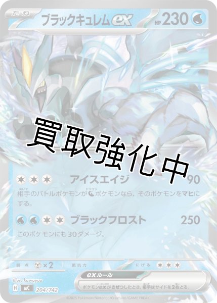 画像1: ブラックキュレムex {204/742} [MC] (1)