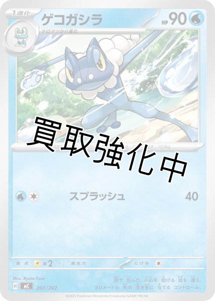 画像1: ゲコガシラ {207/742} [MC] (1)