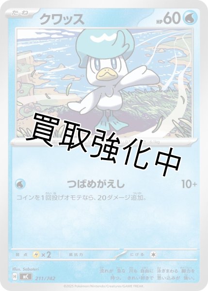 画像1: クワッス {211/742} [MC] (1)